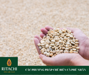 Các phương pháp chế biến cà phê nhân