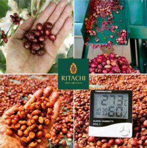 Phương pháp chế biến cà phê honey