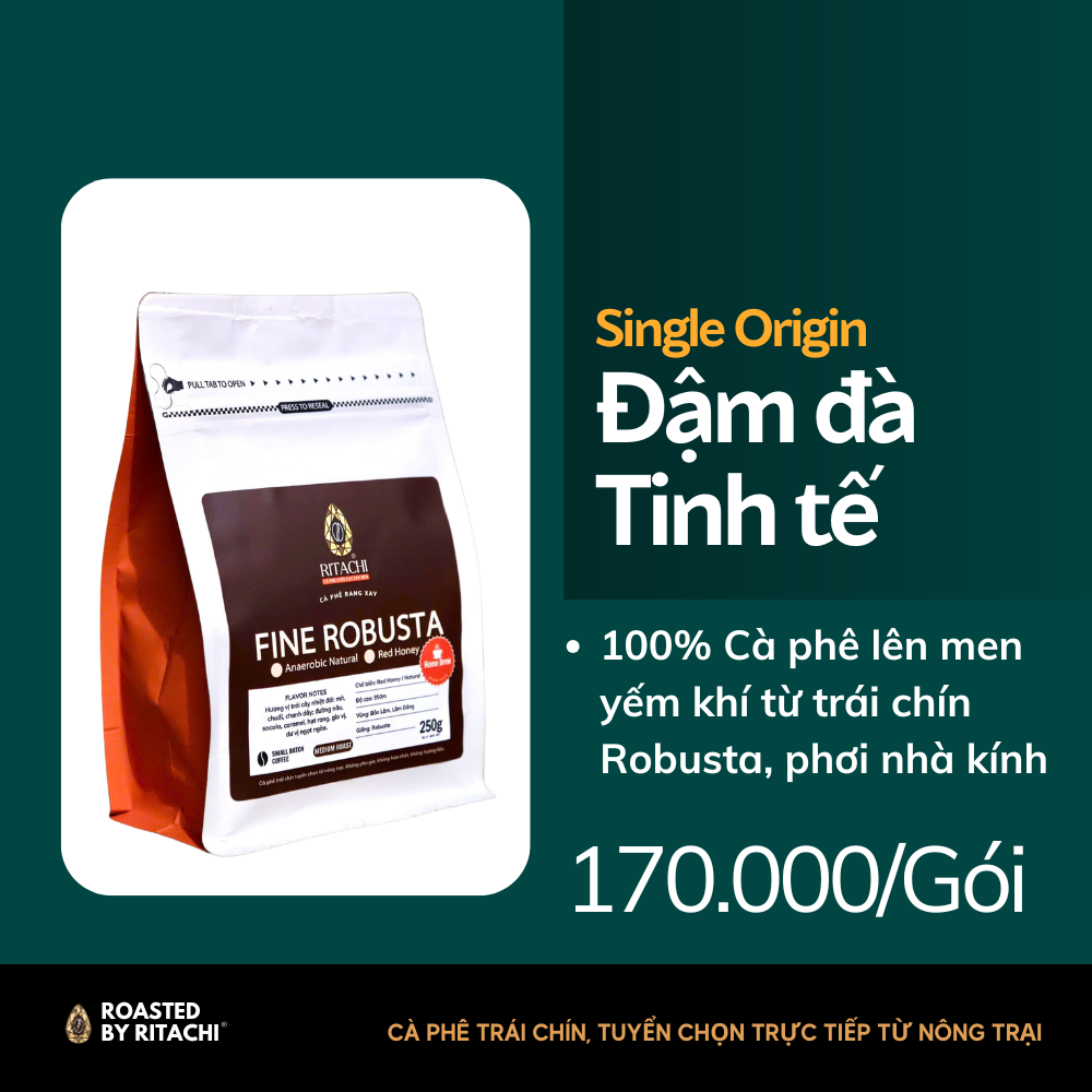 Cà phê rang xay Ritachi Fine Robusta - Anaerobic Natutal - Đậm đà, tinh tế