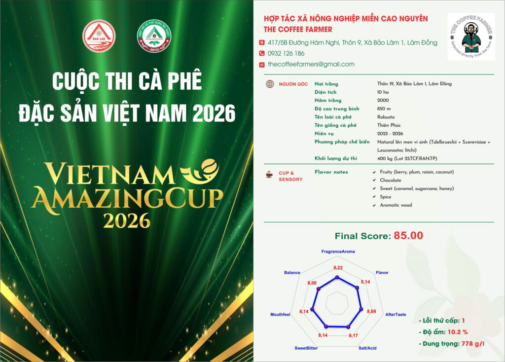 VERA 168 - FINE ROBSUTA - ANAEROBIC NATURAL 85 POINTS